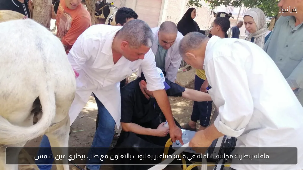 قافلة بيطرية مجانية شاملة في قرية صنافير بقليوب بالتعاون مع طب بيطري عين شمس