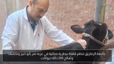 جامعة الزقازيق تنظم قافلة بيطرية مجانية في عزبة نمر بأبو كبير وتكشف وتُعالج 205 حالة حيوانات