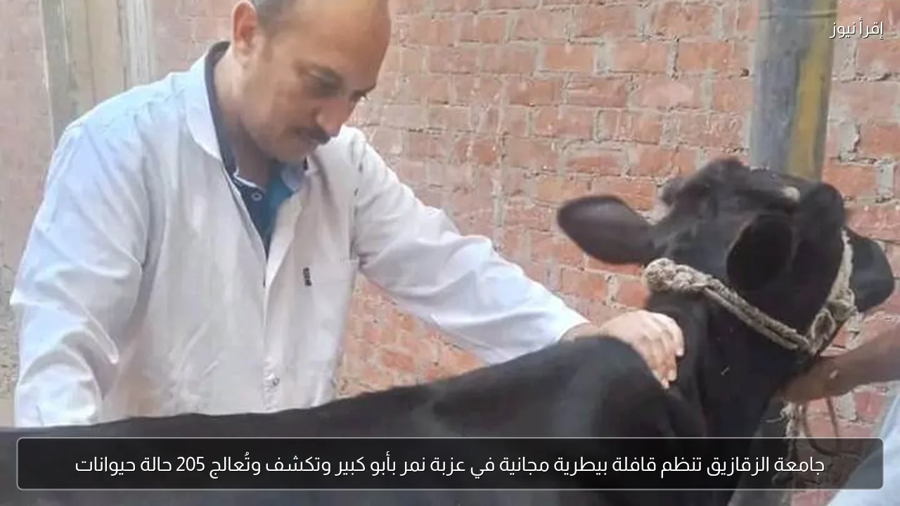 جامعة الزقازيق تنظم قافلة بيطرية مجانية في عزبة نمر بأبو كبير وتكشف وتُعالج 205 حالة حيوانات
