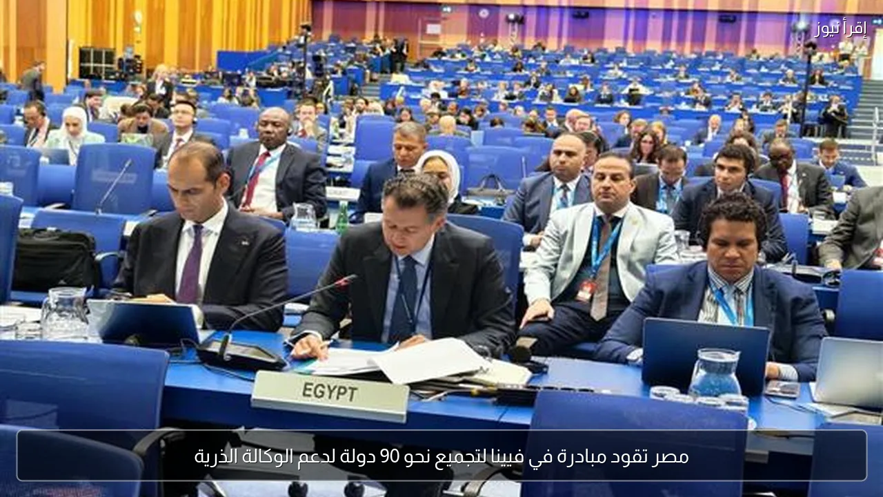 مصر تقود مبادرة في فيينا لتجميع نحو 90 دولة لدعم الوكالة الذرية