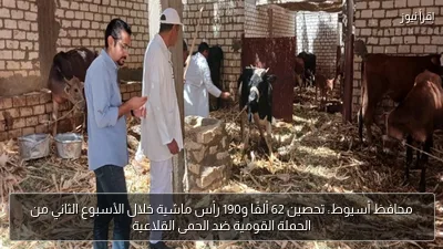 محافظ أسيوط: تحصين 62 ألفًا و190 رأس ماشية خلال الأسبوع الثاني من الحملة القومية ضد الحمى القلاعية