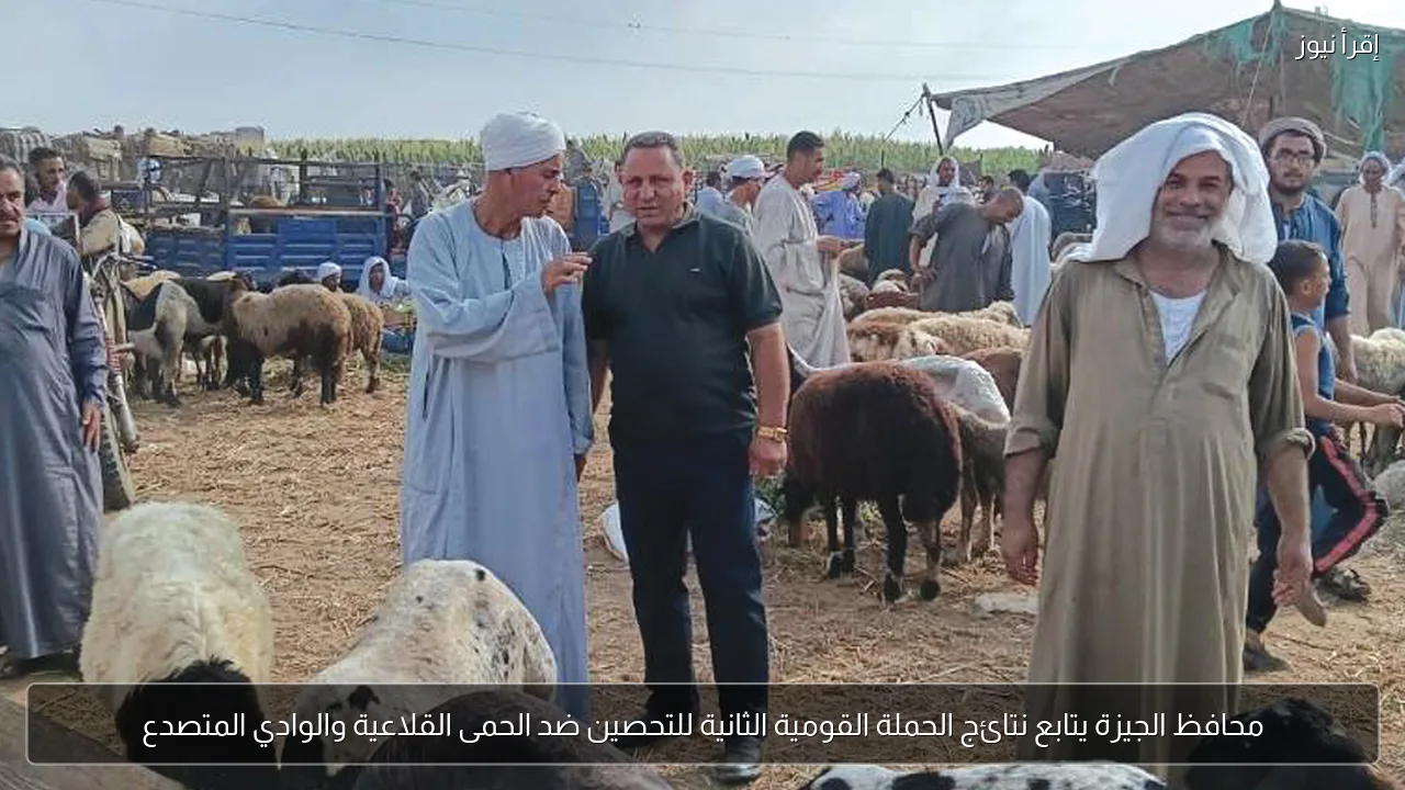 محافظ الجيزة يتابع نتائج الحملة القومية الثانية للتحصين ضد الحمى القلاعية والوادي المتصدع