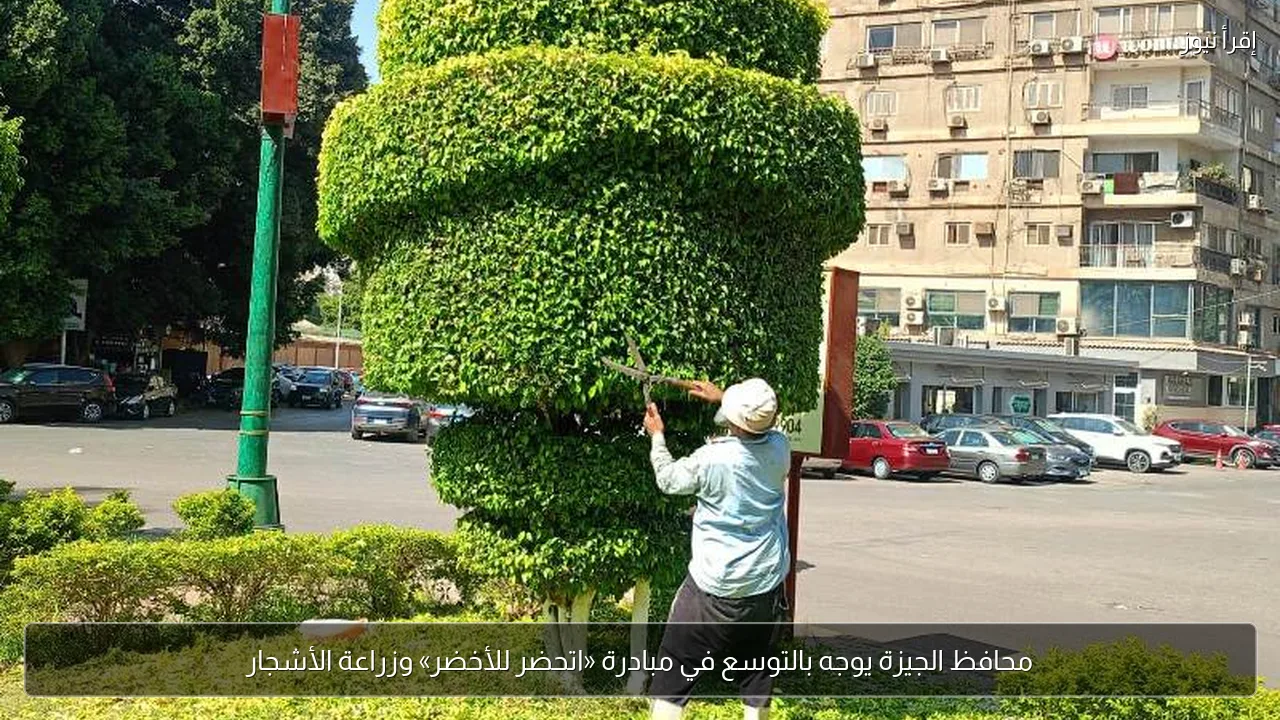 محافظ الجيزة يوجه بالتوسع في مبادرة «اتحضر للأخضر» وزراعة الأشجار