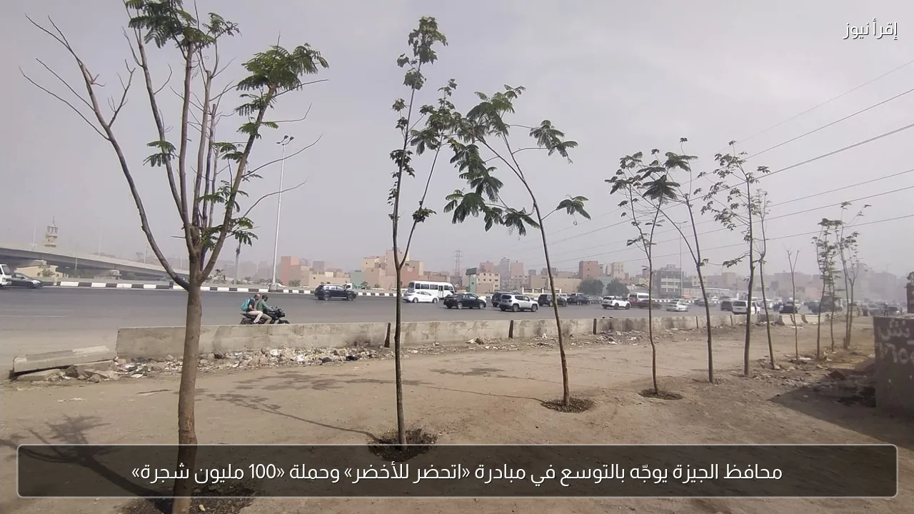 محافظ الجيزة يوجّه بالتوسع في مبادرة «اتحضر للأخضر» وحملة «100 مليون شجرة»