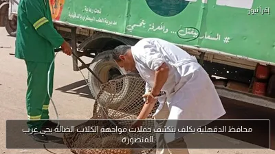 محافظ الدقهلية يكلف بتكثيف حملات مواجهة الكلاب الضالة بحي غرب المنصورة