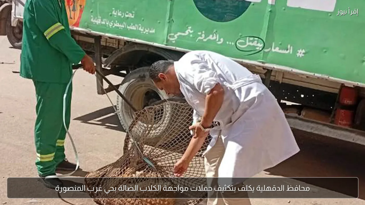 محافظ الدقهلية يكلف بتكثيف حملات مواجهة الكلاب الضالة بحي غرب المنصورة
