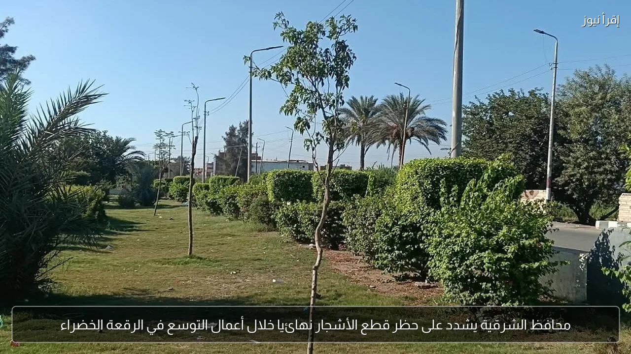 محافظ الشرقية يشدد على حظر قطع الأشجار نهائيا خلال أعمال التوسع في الرقعة الخضراء