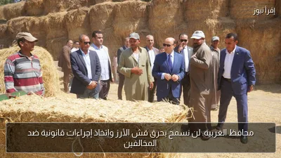 محافظ الغربية: لن نسمح بحرق قش الأرز واتخاذ إجراءات قانونية ضد المخالفين