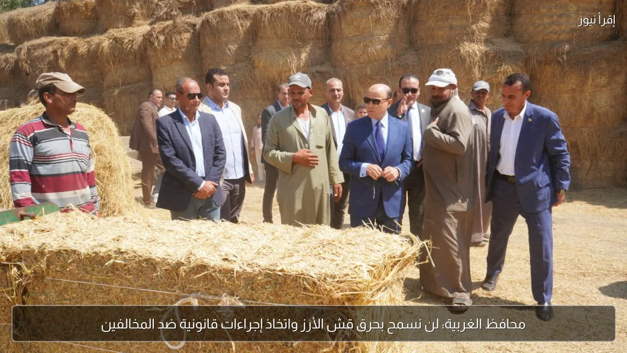 محافظ الغربية: لن نسمح بحرق قش الأرز واتخاذ إجراءات قانونية ضد المخالفين