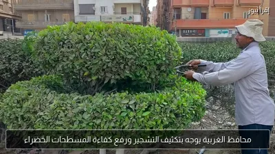 محافظ الغربية يوجه بتكثيف التشجير ورفع كفاءة المسطحات الخضراء