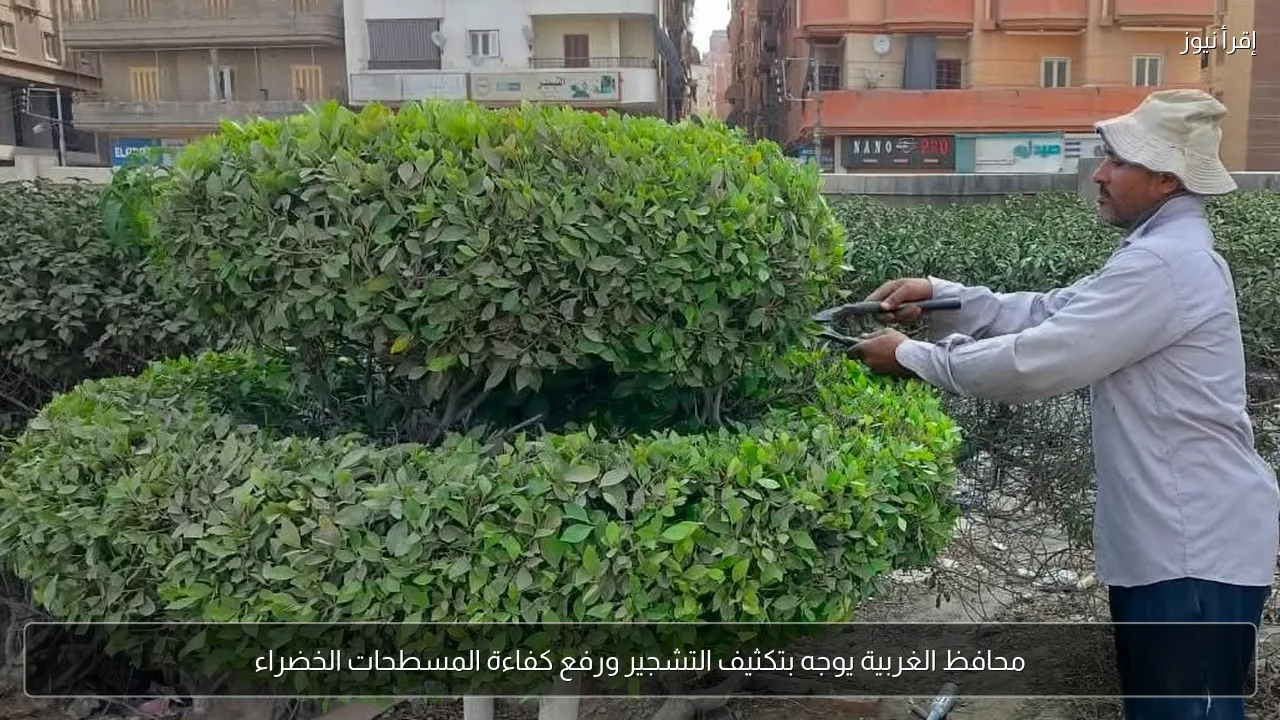 محافظ الغربية يوجه بتكثيف التشجير ورفع كفاءة المسطحات الخضراء