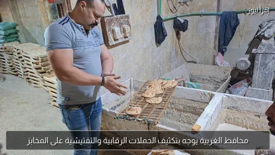 محافظ الغربية يوجه بتكثيف الحملات الرقابية والتفتيشية على المخابز