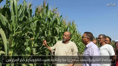 محافظ القليوبية يتفقد نماذج زراعية وإنتاجية بميت كنانة ويكرم كبار المزارعين
