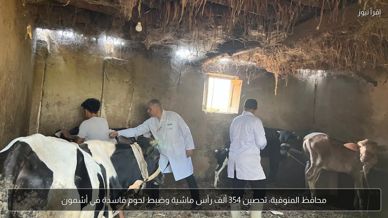 محافظ المنوفية: تحصين 354 ألف رأس ماشية وضبط لحوم فاسدة في أشمون
