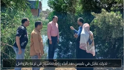 تحرك عاجل في بلبيس بعد أنباء رؤية تماسيح في ترعة بالزوامل