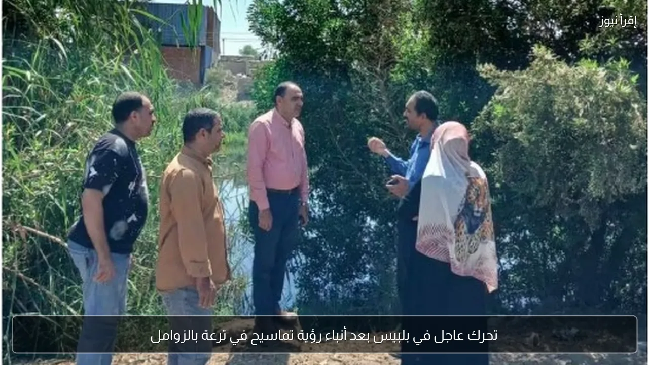 تحرك عاجل في بلبيس بعد أنباء رؤية تماسيح في ترعة بالزوامل