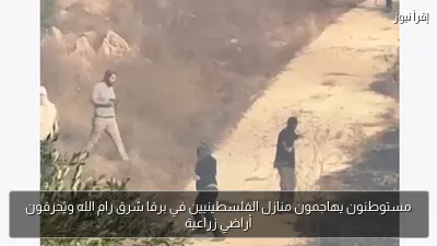 مستوطنون يهاجمون منازل الفلسطينيين في برقا شرق رام الله ويُحرقون أراضي زراعية