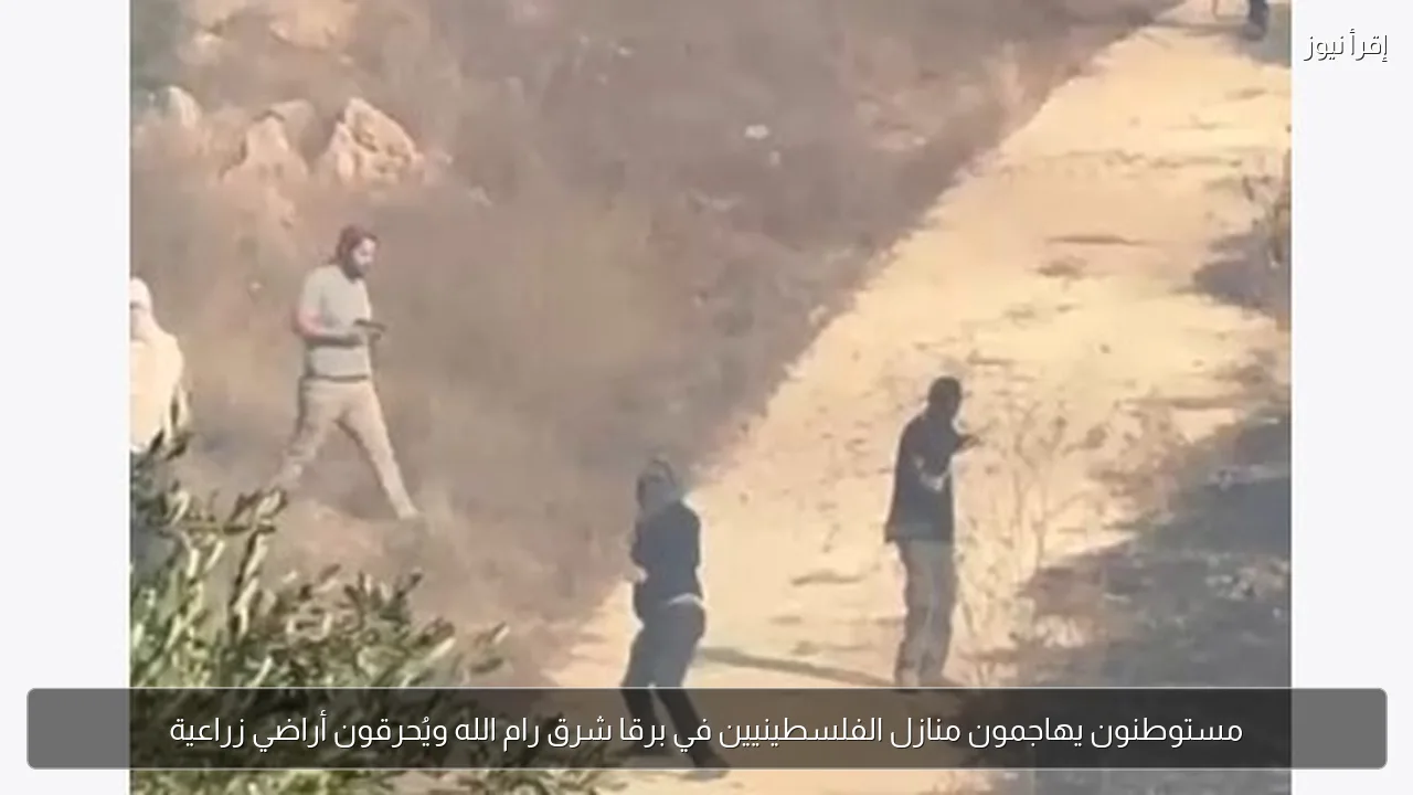 مستوطنون يهاجمون منازل الفلسطينيين في برقا شرق رام الله ويُحرقون أراضي زراعية
