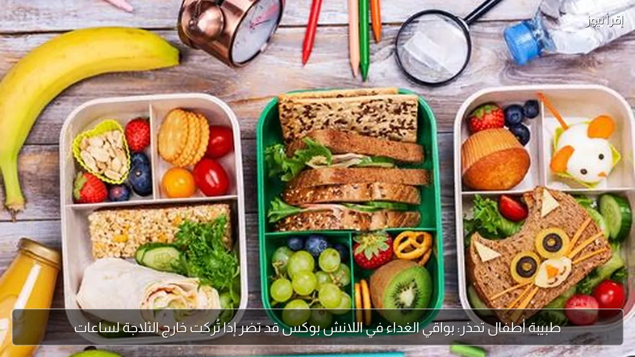 طبيبة أطفال تحذر: بواقي الغداء في اللانش بوكس قد تضر إذا تُركت خارج الثلاجة لساعات
