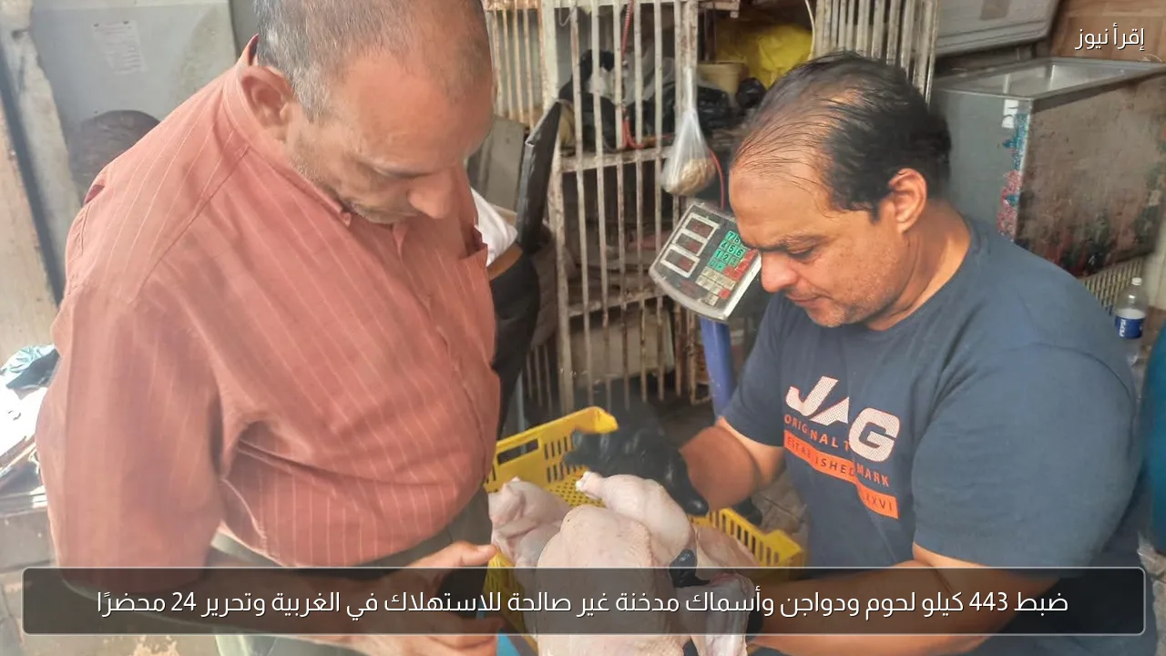 ضبط 443 كيلو لحوم ودواجن وأسماك مدخنة غير صالحة للاستهلاك في الغربية وتحرير 24 محضرًا