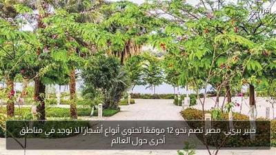 خبير بيئي: مصر تضم نحو 12 موقعًا تحتوي أنواع أشجارًا لا توجد في مناطق أخرى حول العالم