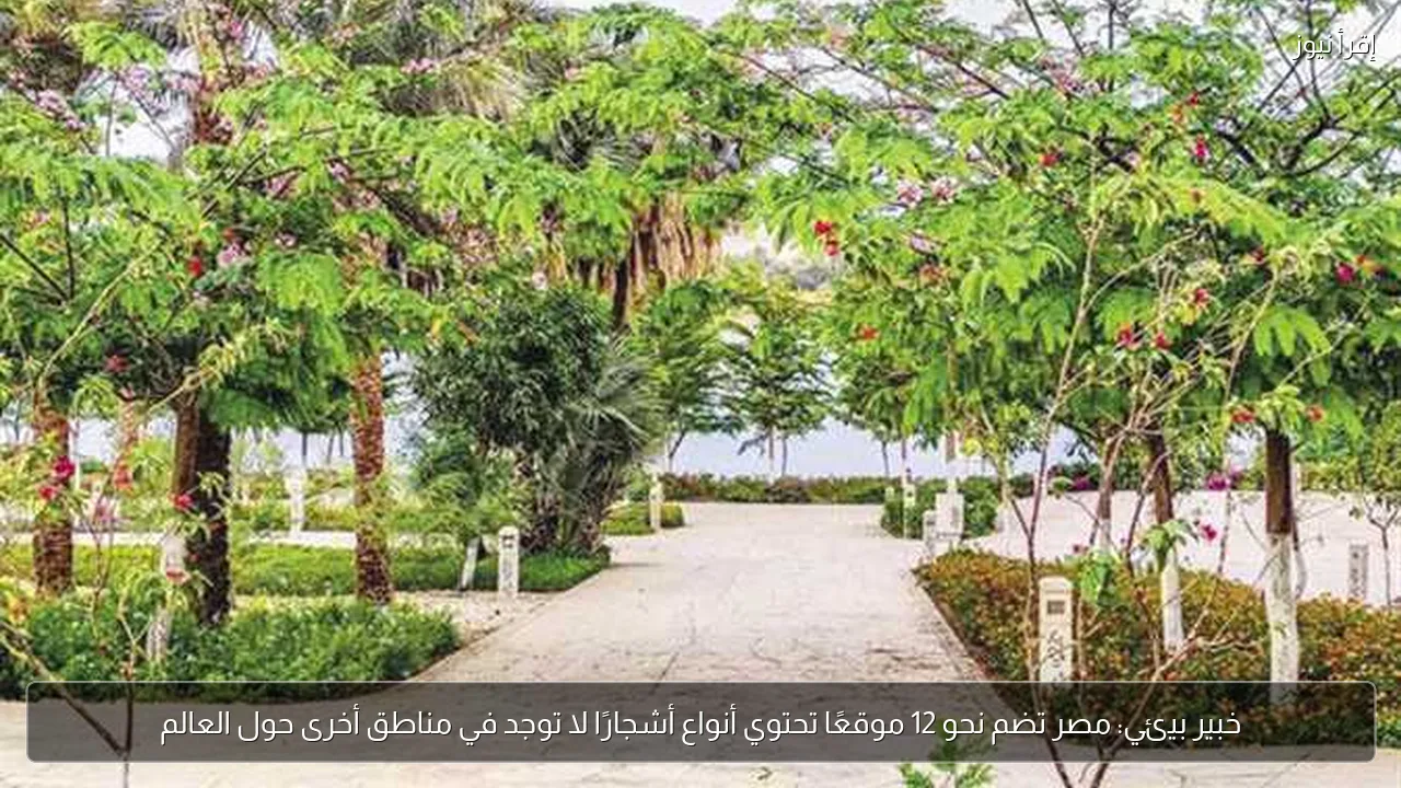 خبير بيئي: مصر تضم نحو 12 موقعًا تحتوي أنواع أشجارًا لا توجد في مناطق أخرى حول العالم