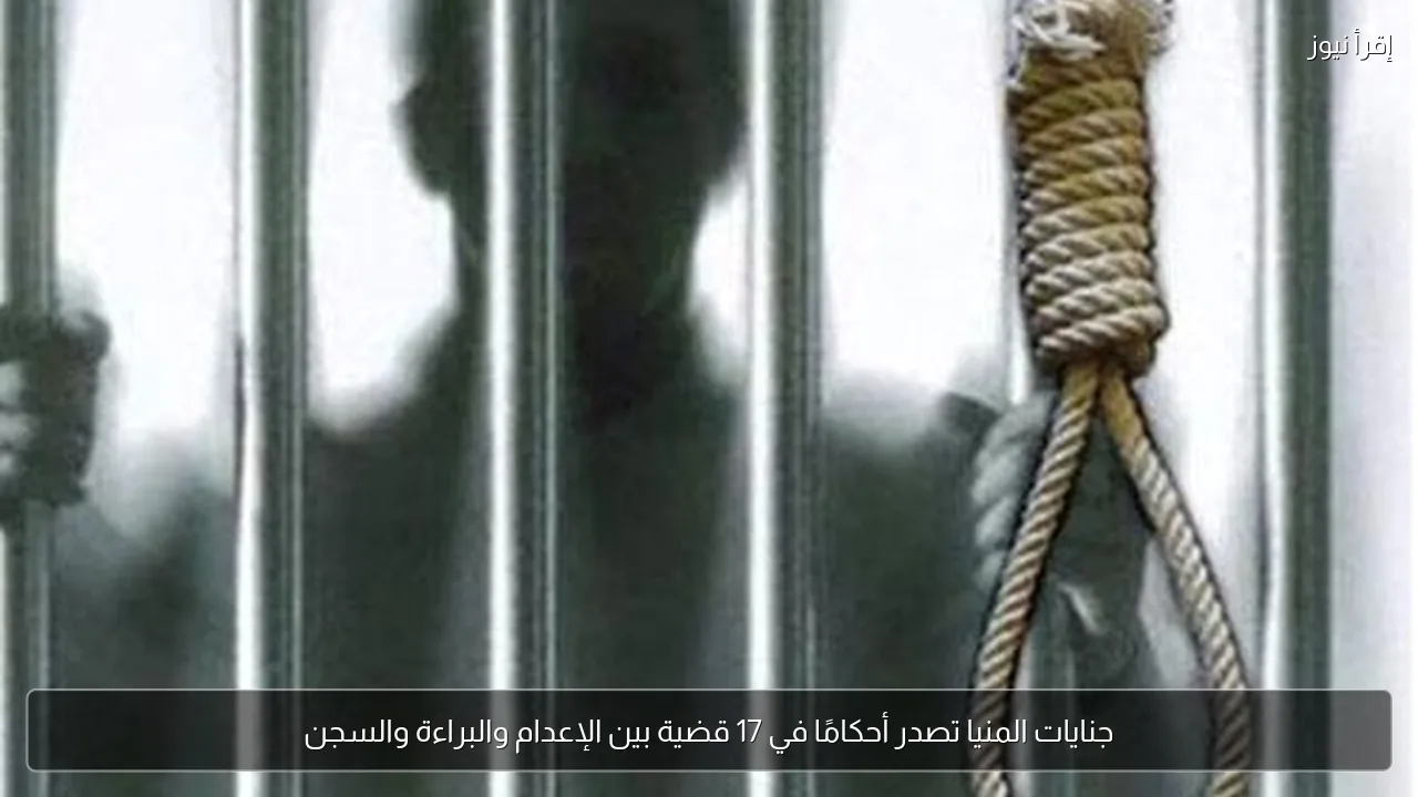 جنايات المنيا تصدر أحكامًا في 17 قضية بين الإعدام والبراءة والسجن