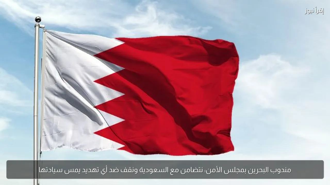 مندوب البحرين بمجلس الأمن: نتضامن مع السعودية ونقف ضد أي تهديد يمس سيادتها