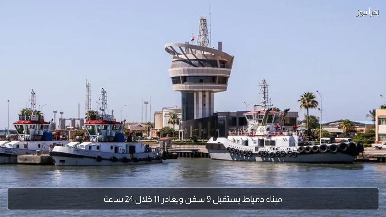 ميناء دمياط يستقبل 9 سفن ويغادر 11 خلال 24 ساعة