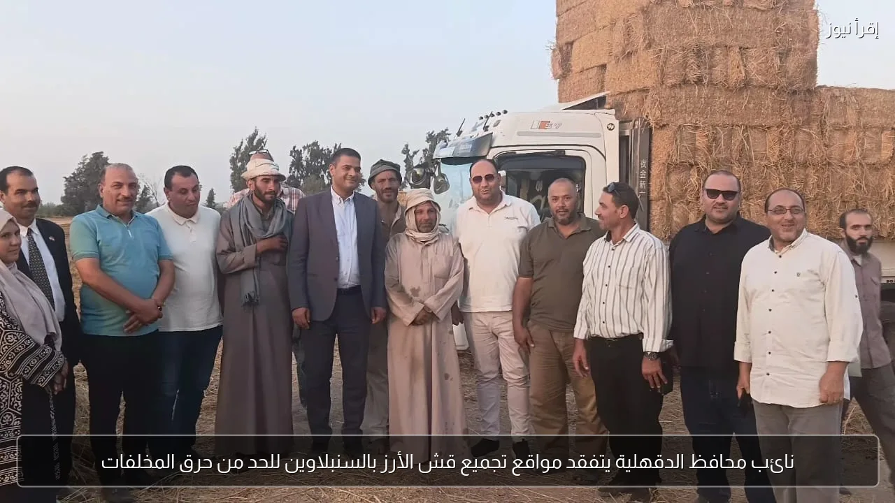 نائب محافظ الدقهلية يتفقد مواقع تجميع قش الأرز بالسنبلاوين للحد من حرق المخلفات