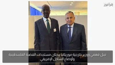 نبيل فهمي ووزير خارجية موريتانيا يبحثان مستجدات القضية الفلسطينية وأوضاع الساحل الإفريقي