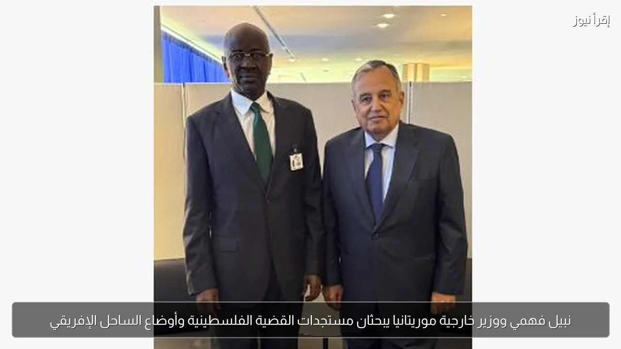 نبيل فهمي ووزير خارجية موريتانيا يبحثان مستجدات القضية الفلسطينية وأوضاع الساحل الإفريقي