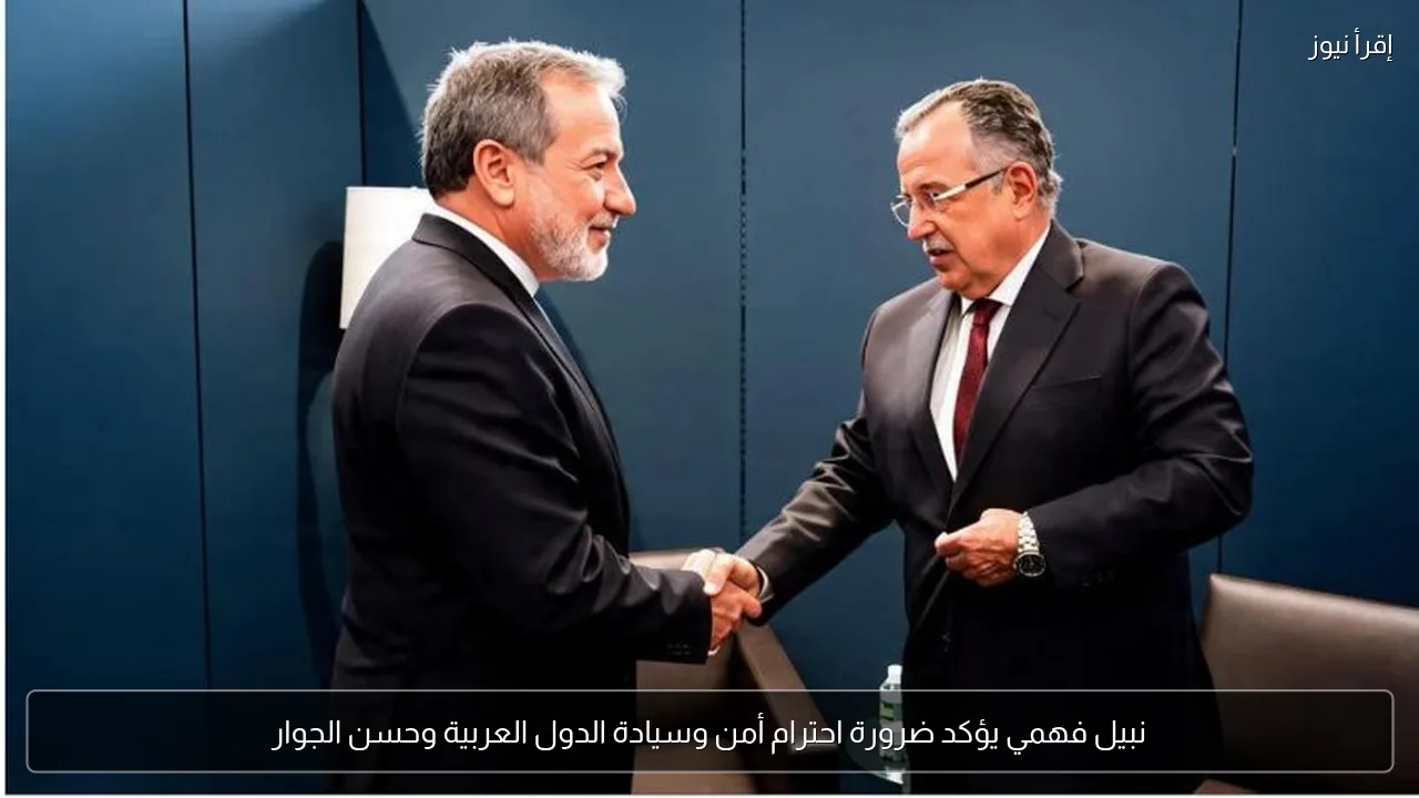 نبيل فهمي يؤكد ضرورة احترام أمن وسيادة الدول العربية وحسن الجوار