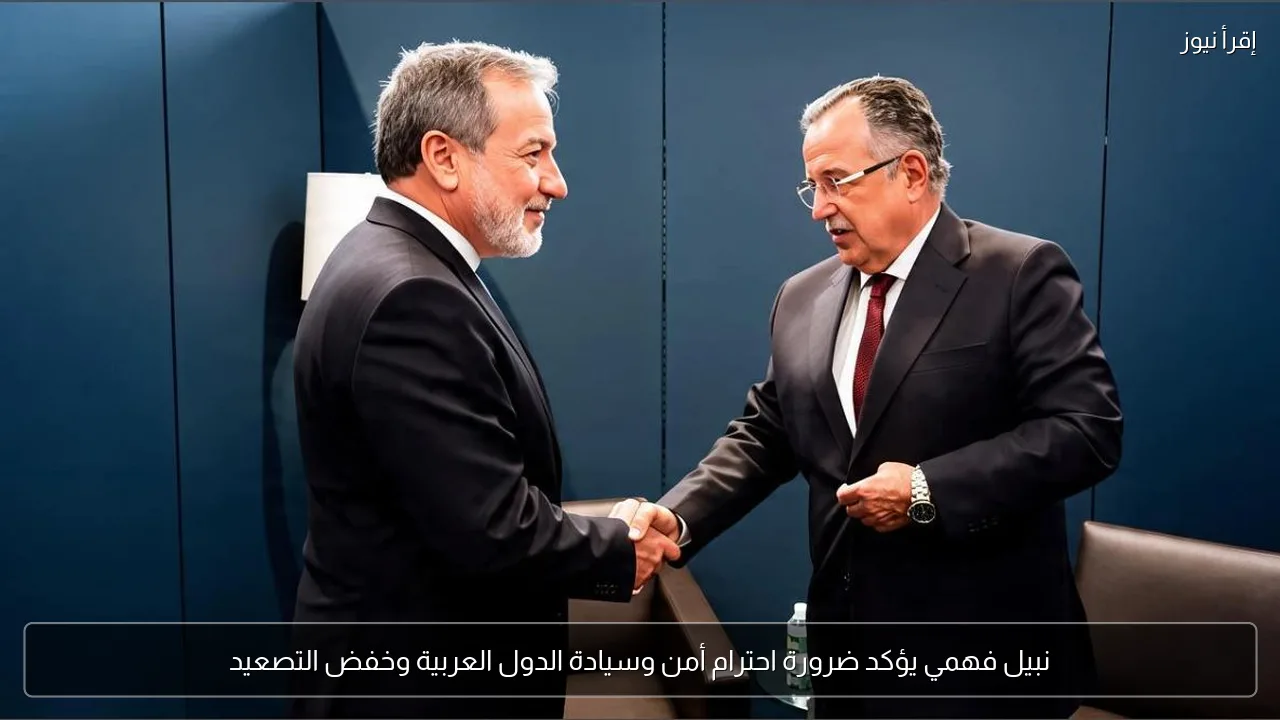 نبيل فهمي يؤكد ضرورة احترام أمن وسيادة الدول العربية وخفض التصعيد