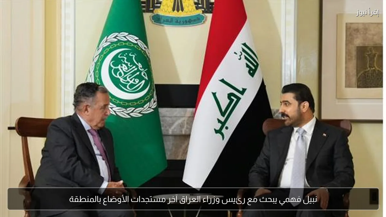 نبيل فهمي يبحث مع رئيس وزراء العراق آخر مستجدات الأوضاع بالمنطقة