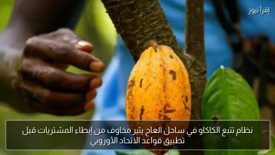 نظام تتبع الكاكاو في ساحل العاج يثير مخاوف من إبطاء المشتريات قبل تطبيق قواعد الاتحاد الأوروبي