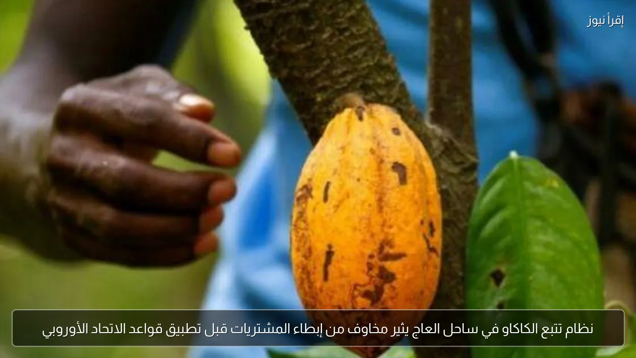 نظام تتبع الكاكاو في ساحل العاج يثير مخاوف من إبطاء المشتريات قبل تطبيق قواعد الاتحاد الأوروبي