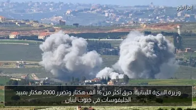 وزيرة البيئة اللبنانية: حرق أكثر من 16 ألف هكتار وتضرر 2000 هكتار بمبيد الجليفوسات في جنوب لبنان