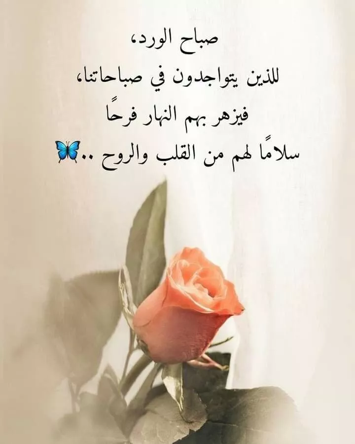 صور ودعاء صباح الخير