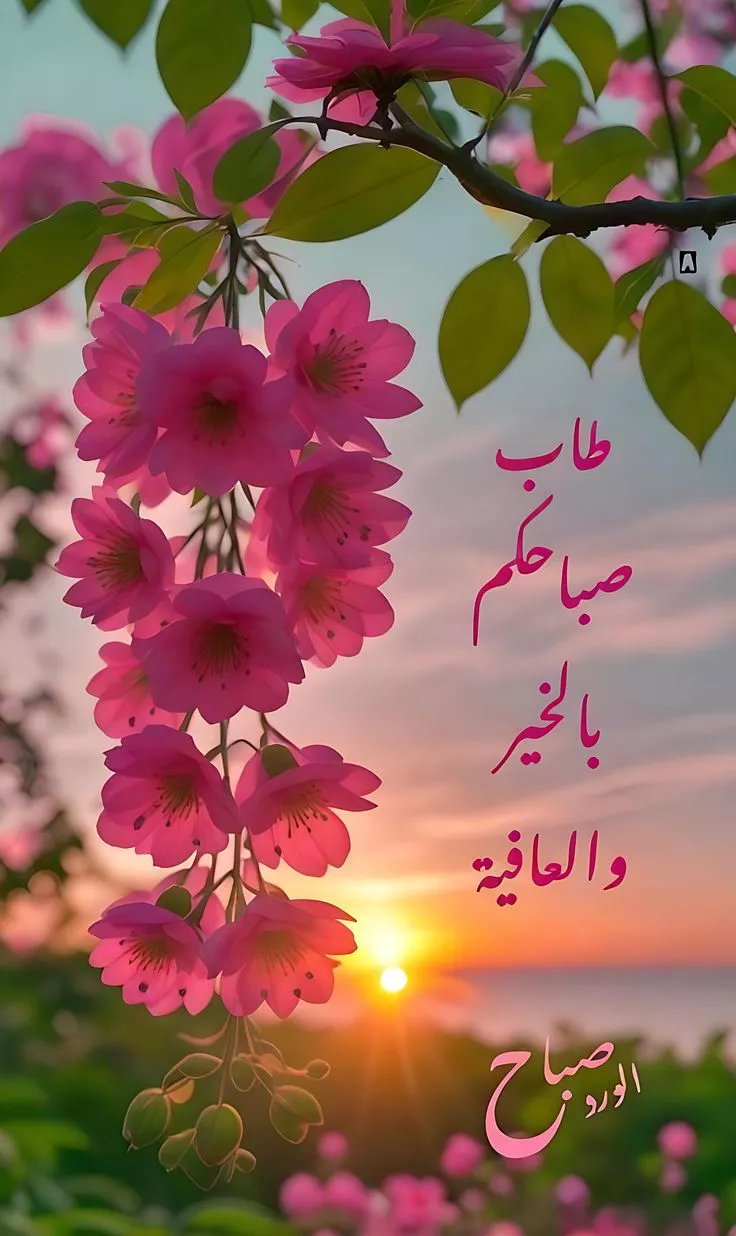 صور ودعاء صباح الخير