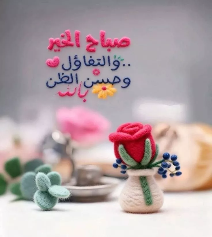 صور ودعاء صباح الخير