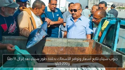 جنوب سيناء تتابع أسعار وتوافر الأسماك بحلقة طور سيناء بعد إنزال 11 طنًا و200 كيلو
