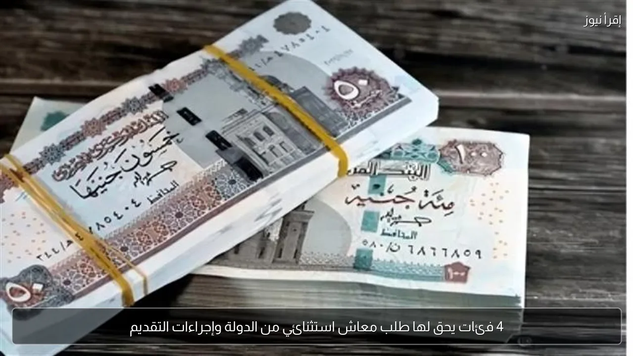 4 فئات يحق لها طلب معاش استثنائي من الدولة وإجراءات التقديم