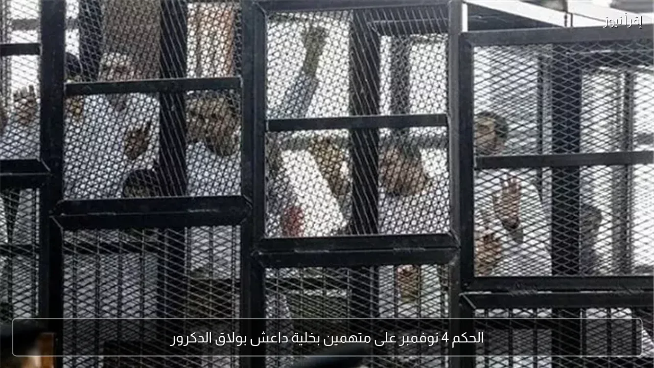 الحكم 4 نوفمبر على متهمين بخلية داعش بولاق الدكرور