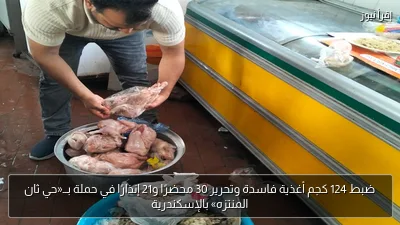 ضبط 124 كجم أغذية فاسدة وتحرير 30 محضرًا و21 إنذارًا في حملة بــ«حي ثان المنتزه» بالإسكندرية