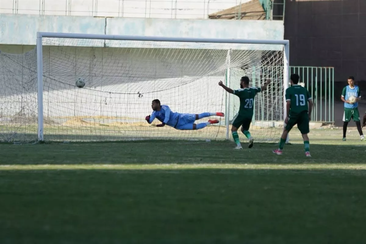 دوري المحترفين