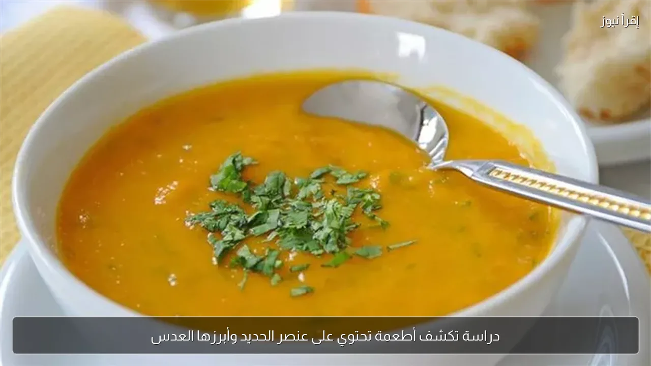 دراسة تكشف أطعمة تحتوي على عنصر الحديد وأبرزها العدس