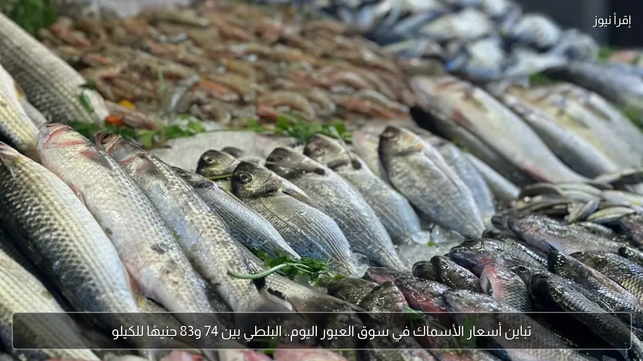 تباين أسعار الأسماك في سوق العبور اليوم.. البلطي بين 74 و83 جنيهًا للكيلو