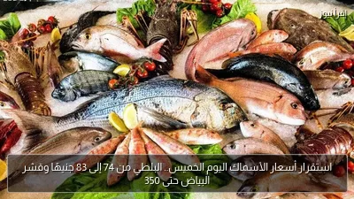 استقرار أسعار الأسماك اليوم الخميس.. البلطي من 74 إلى 83 جنيهًا وقشر البياض حتى 350