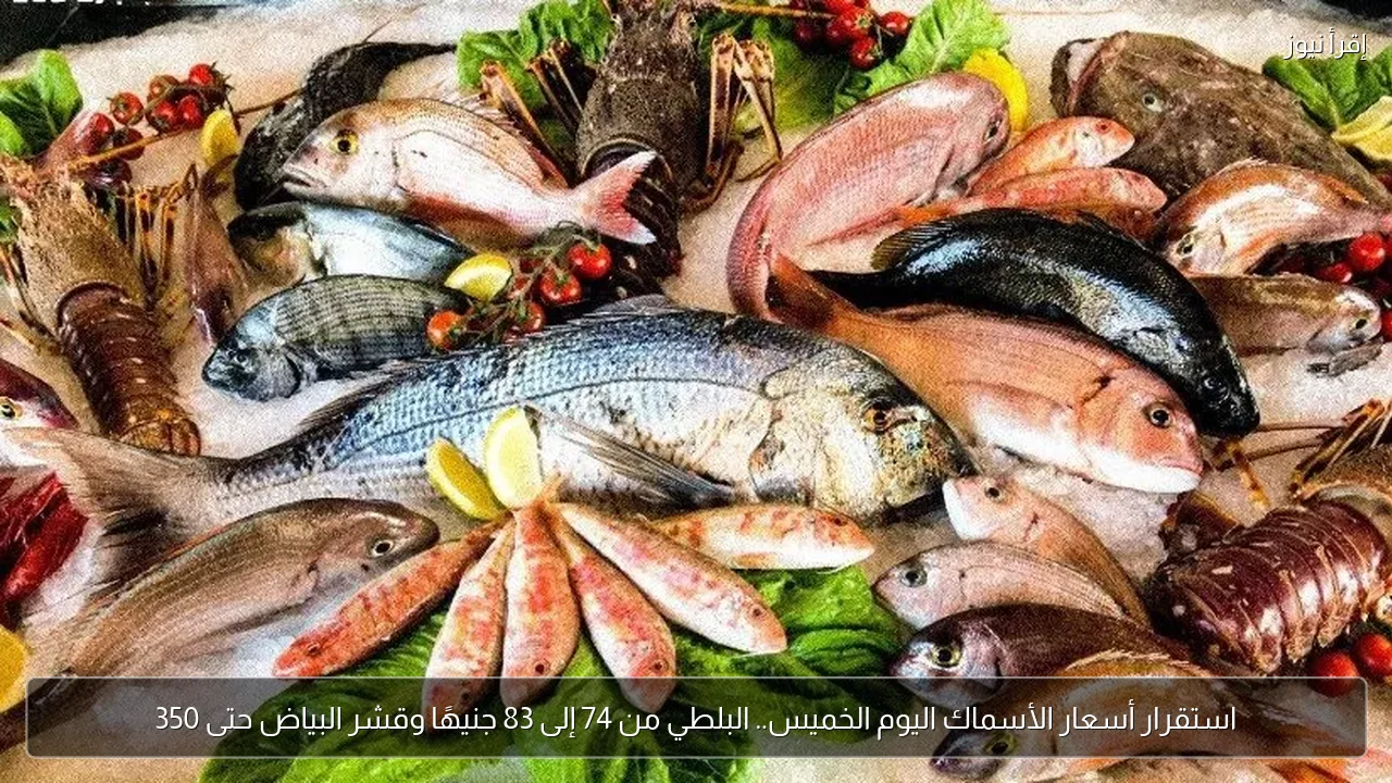 استقرار أسعار الأسماك اليوم الخميس.. البلطي من 74 إلى 83 جنيهًا وقشر البياض حتى 350